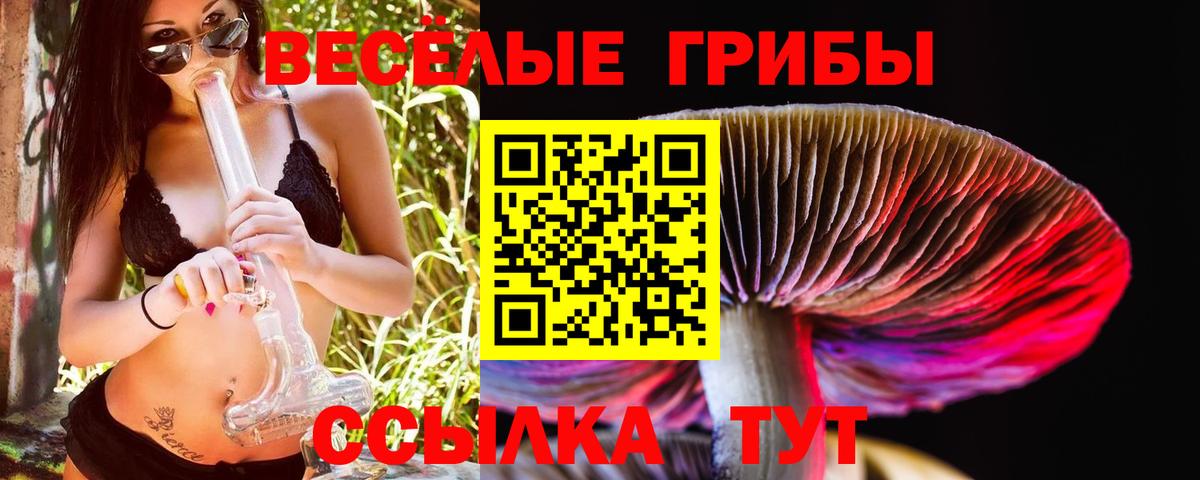 Псилоцибиновые грибы Psilocybe  Галлюциногенные грибы GOLDEN TEACHER  Урюпинск  Вход с VPN 