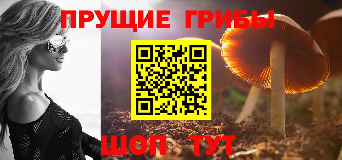 Псилоцибиновые грибы Magic Shrooms Урюпинск